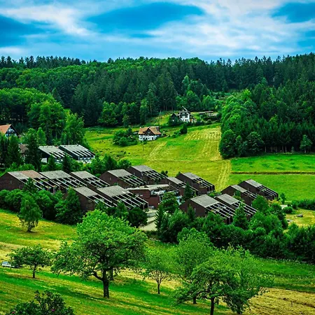 Tanken Im Schwarzwald * 사스바흐발덴