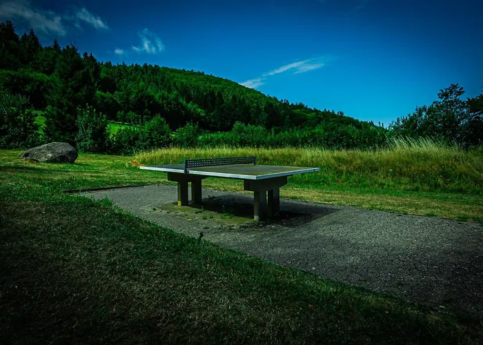Tanken Im Schwarzwald